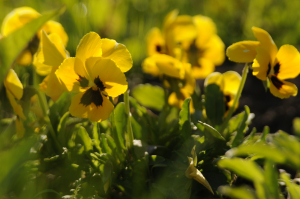 График работы в праздничные дни- март
